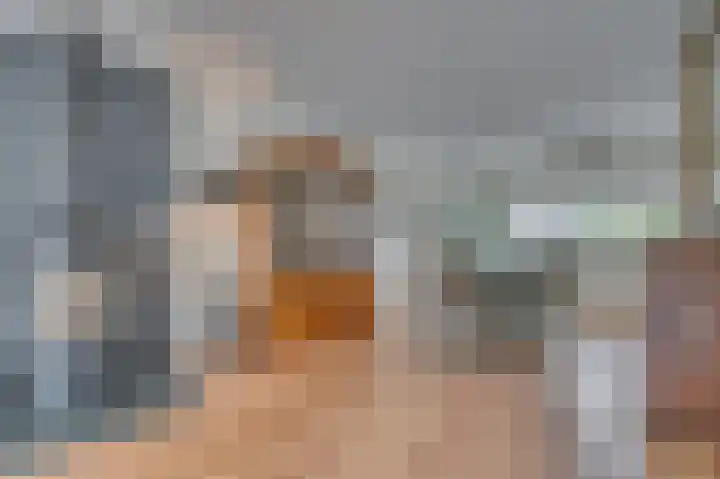 Schelling 11 Herkenbosch thumbnail 11