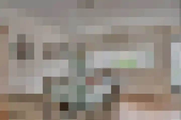 Schelling 11 Herkenbosch thumbnail 13
