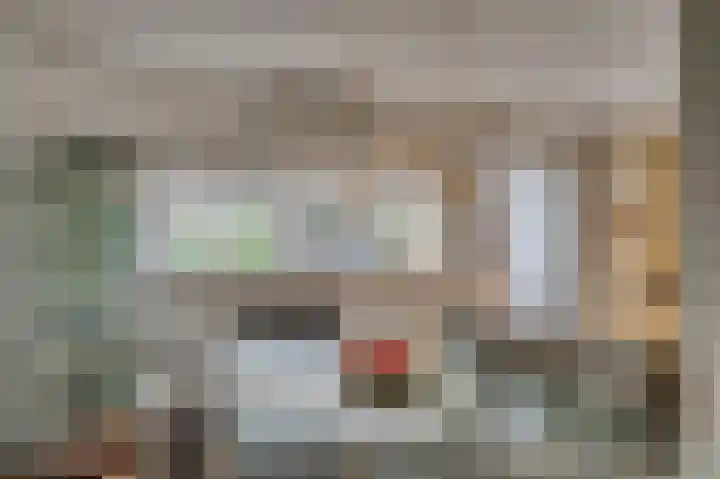 Schelling 11 Herkenbosch thumbnail 14