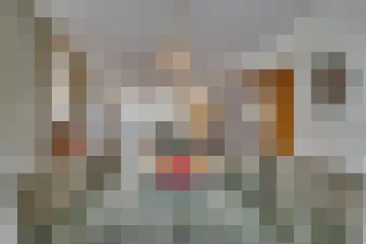 Schelling 11 Herkenbosch thumbnail 16