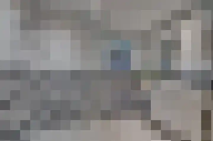 Schelling 11 Herkenbosch thumbnail 26