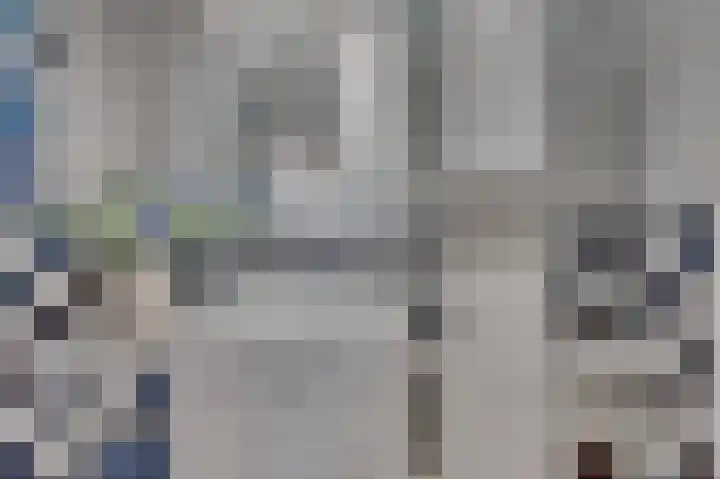 Schelling 11 Herkenbosch thumbnail 27