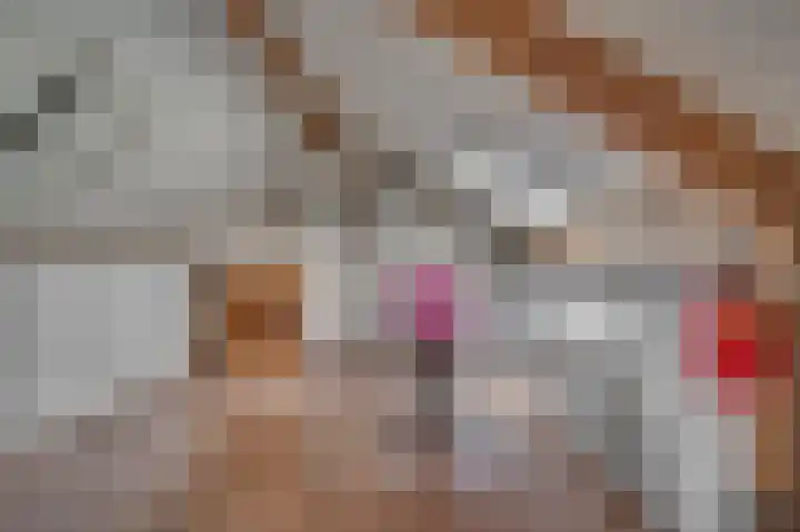 Schelling 11 Herkenbosch thumbnail 33