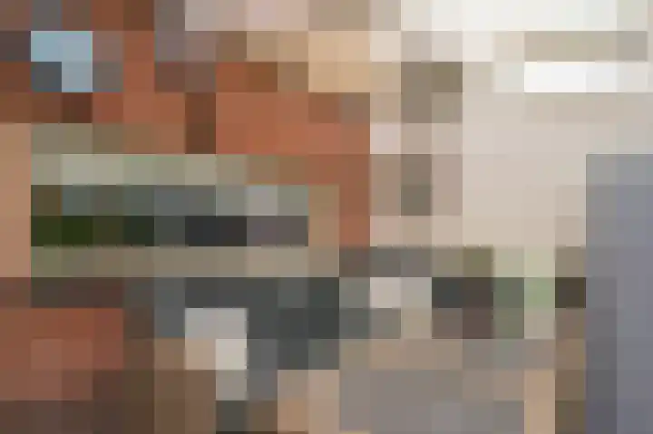 Schelling 11 Herkenbosch thumbnail 36