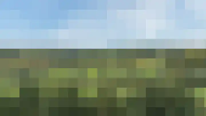 Schelling 11 Herkenbosch thumbnail 47
