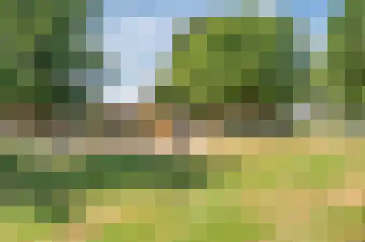 Schelling 11 Herkenbosch thumbnail 61