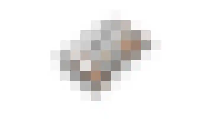 Schelling 11 Herkenbosch thumbnail 70