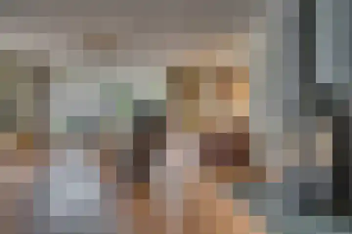 Schelling 11 Herkenbosch thumbnail 8