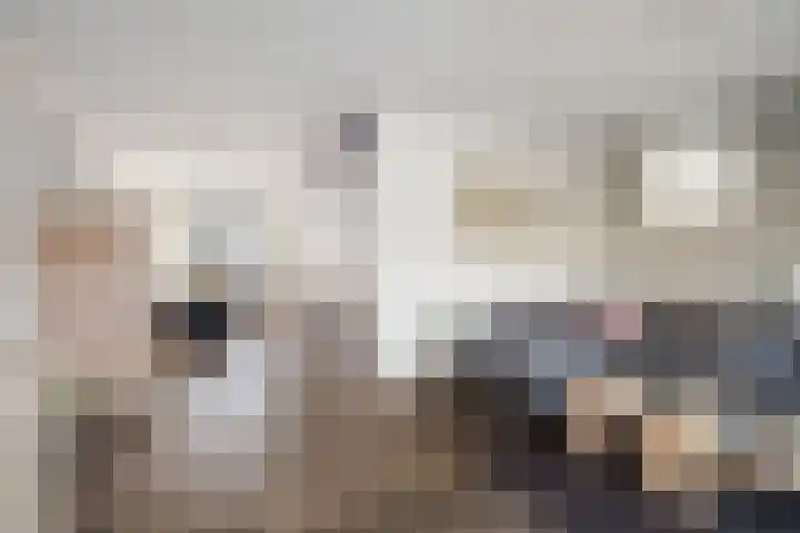 Schelling 12 Uden thumbnail 10