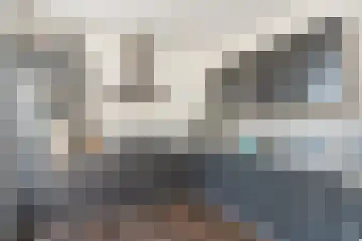 Schelling 12 Uden thumbnail 13