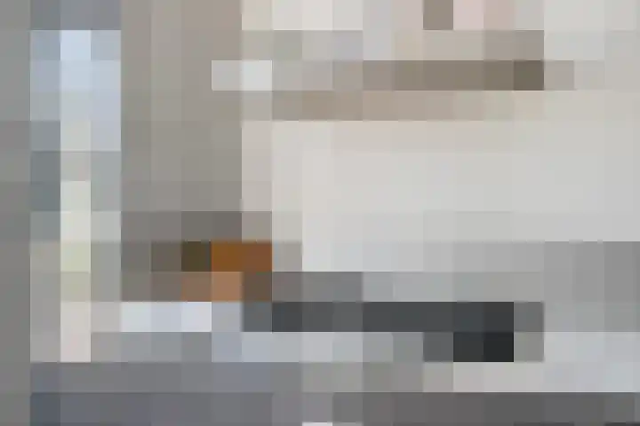 Schelling 12 Uden thumbnail 15