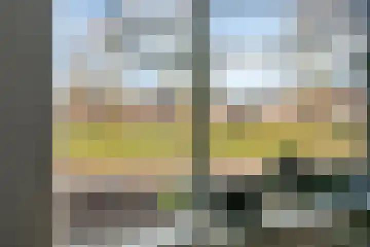 Schelling 12 Uden thumbnail 18