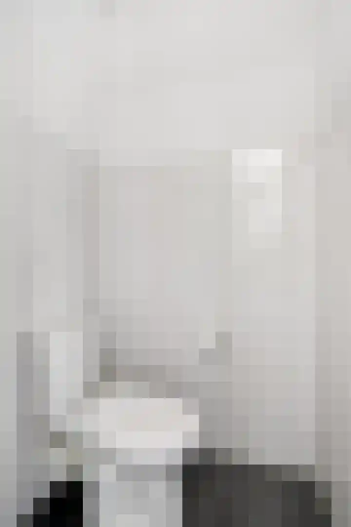 Schelling 12 Uden thumbnail 20