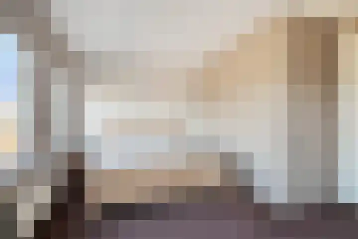Schelling 12 Uden thumbnail 21