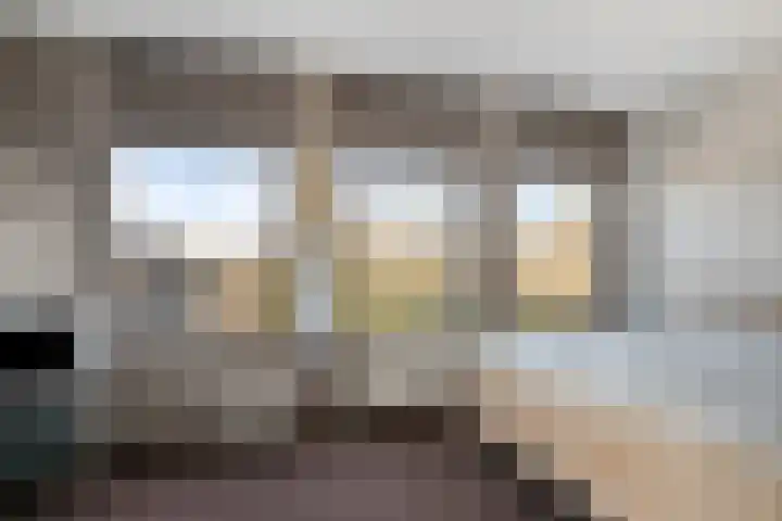 Schelling 12 Uden thumbnail 23