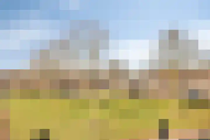 Schelling 12 Uden thumbnail 24