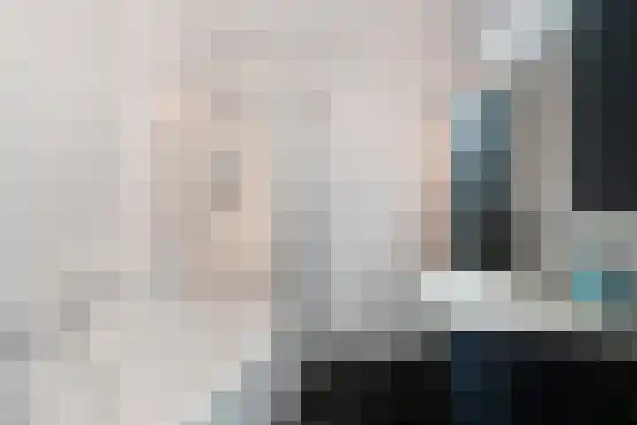 Schelling 12 Uden thumbnail 25