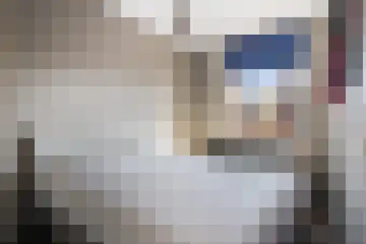 Schelling 12 Uden thumbnail 27