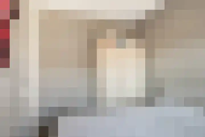 Schelling 12 Uden thumbnail 28