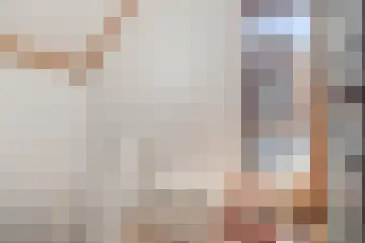 Schelling 12 Uden thumbnail 30