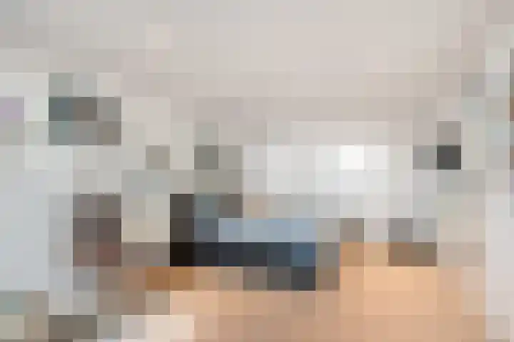 Schelling 12 Uden thumbnail 32