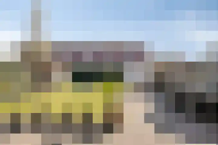 Schelling 12 Uden thumbnail 34