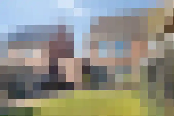 Schelling 12 Uden thumbnail 36