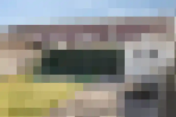 Schelling 12 Uden thumbnail 38