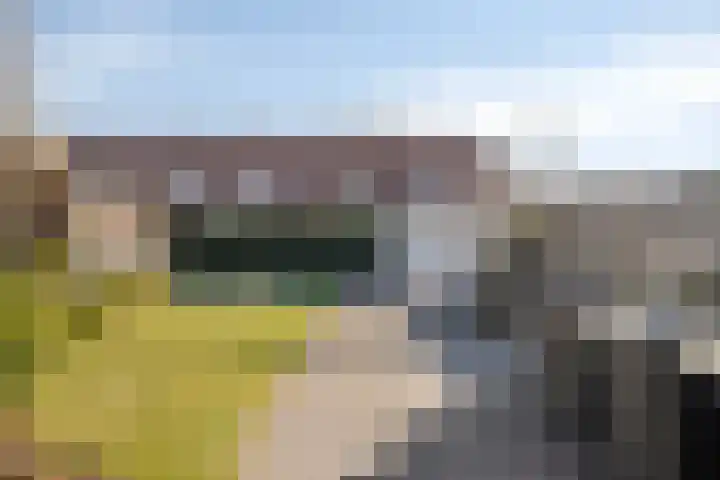 Schelling 12 Uden thumbnail 39