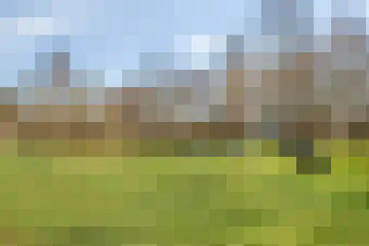 Schelling 12 Uden thumbnail 42