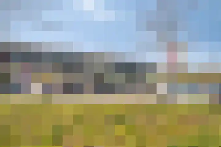Schelling 12 Uden thumbnail 43