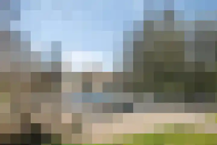 Schelling 12 Uden thumbnail 44
