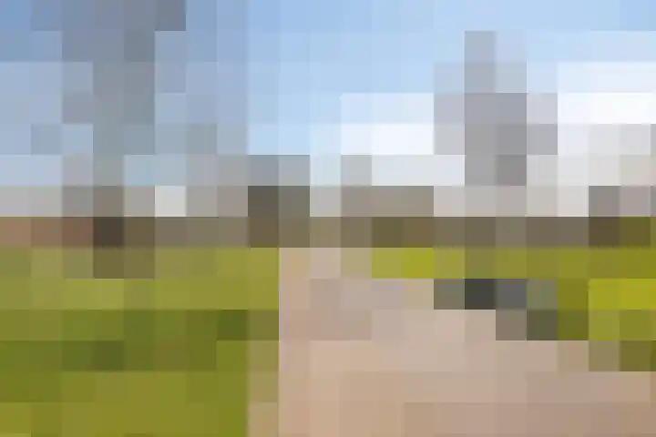 Schelling 12 Uden thumbnail 47