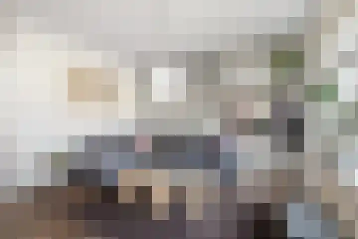 Schelling 12 Uden thumbnail 7