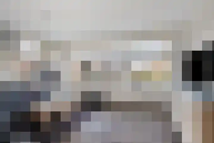 Schelling 12 Uden thumbnail 8