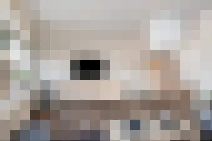 Schelling 12 Uden thumbnail 9