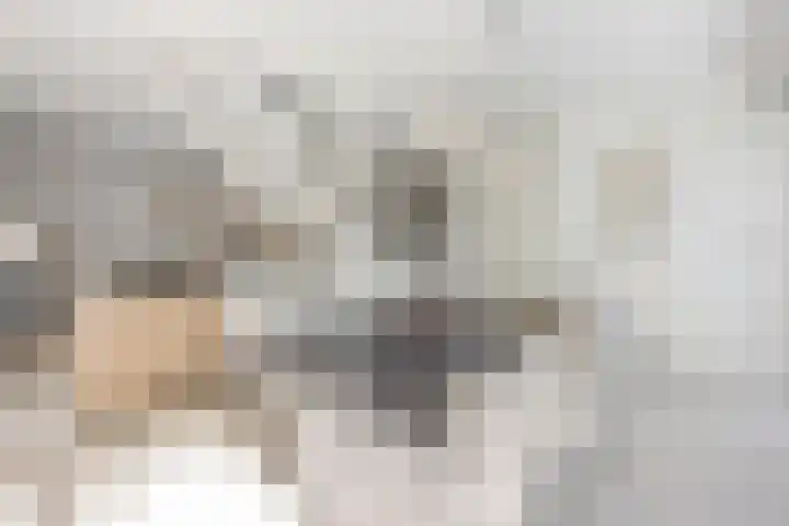 Schelling 20 Herkenbosch thumbnail 10
