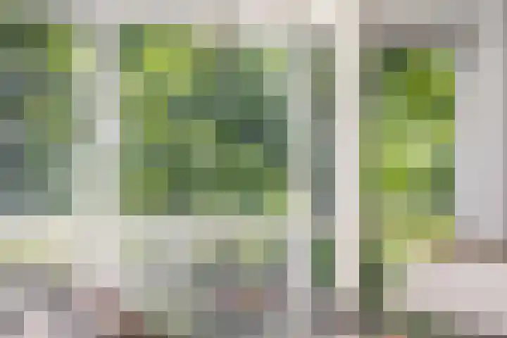 Schelling 20 Herkenbosch thumbnail 12