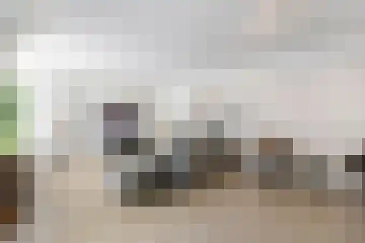 Schelling 20 Herkenbosch thumbnail 14