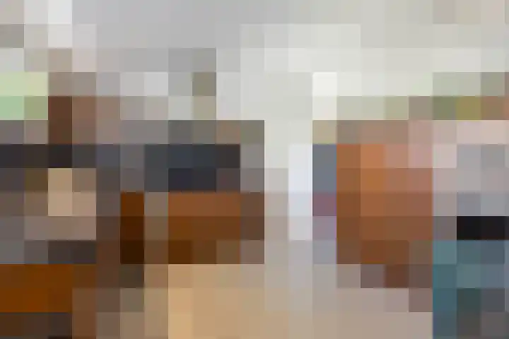 Schelling 20 Herkenbosch thumbnail 18