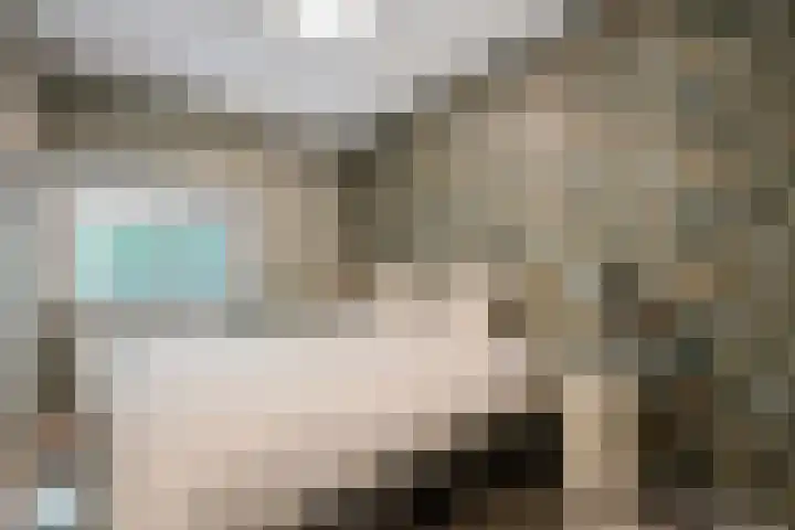 Schelling 20 Herkenbosch thumbnail 20