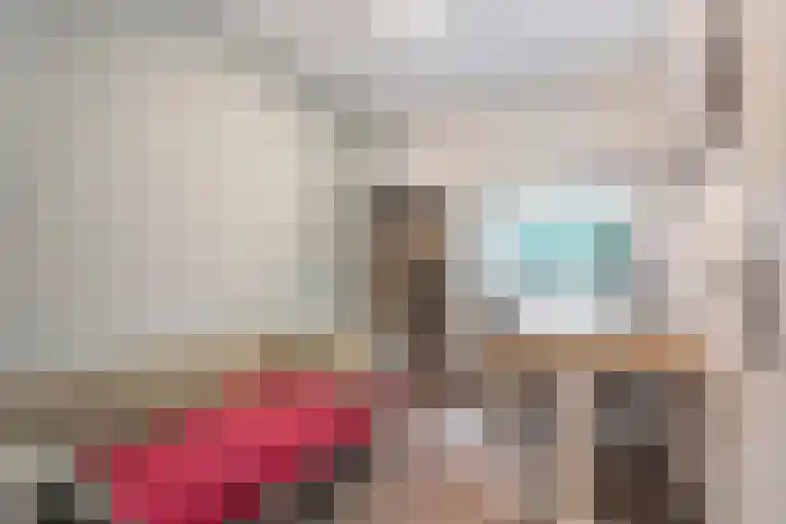 Schelling 20 Herkenbosch thumbnail 21