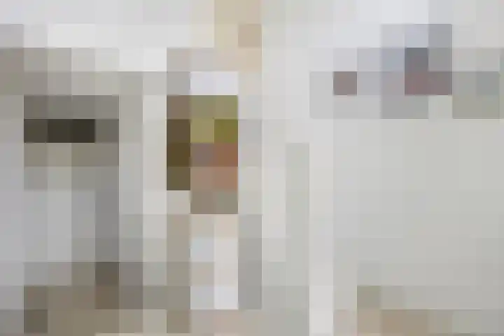 Schelling 20 Herkenbosch thumbnail 28