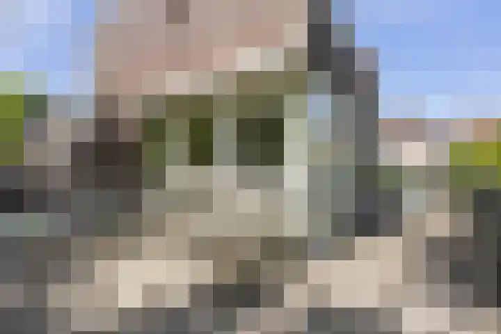 Schelling 20 Herkenbosch thumbnail 30