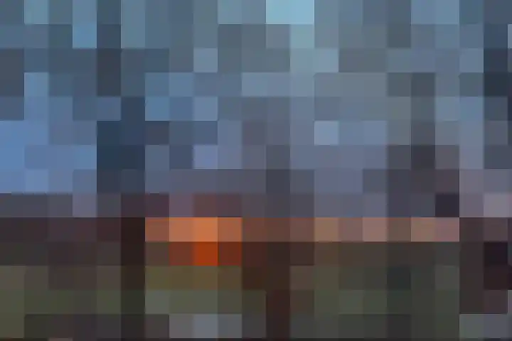Schelling 20 Herkenbosch thumbnail 50