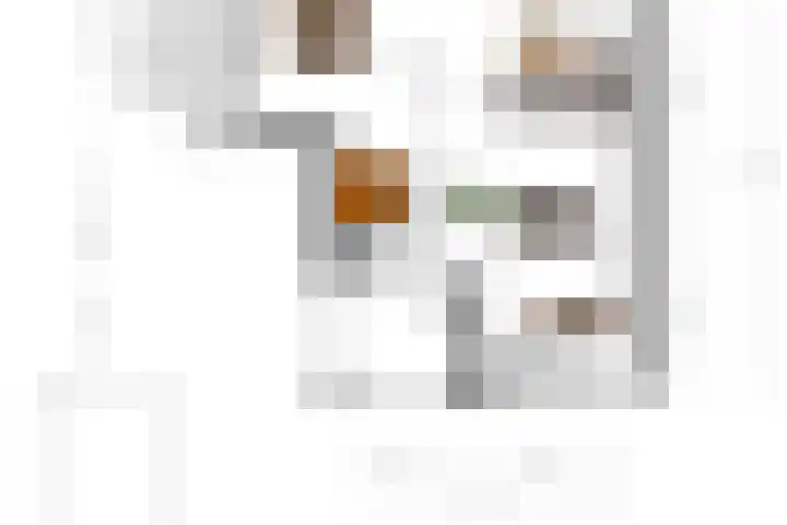 Schelling 20 Herkenbosch thumbnail 51
