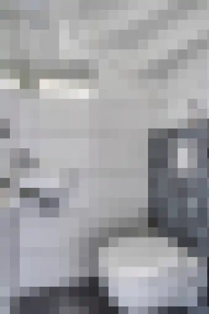 Schellingstede 2 Cuijk thumbnail 10