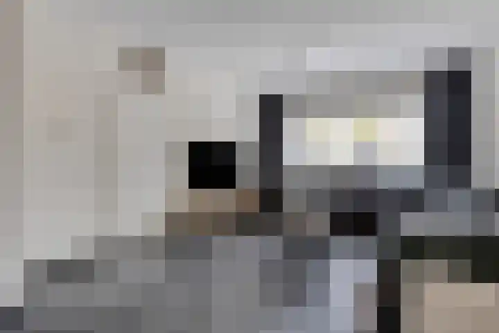 Schellingstede 2 Cuijk thumbnail 11