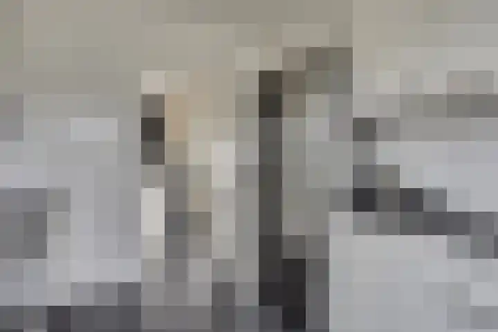 Schellingstede 2 Cuijk thumbnail 14