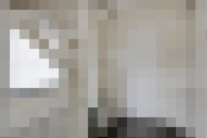 Schellingstede 2 Cuijk thumbnail 15